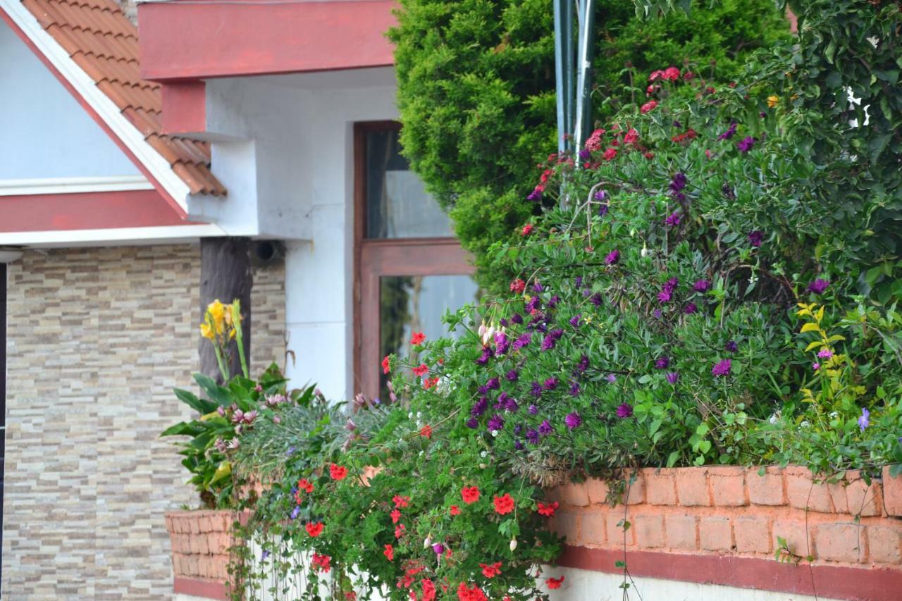 Kodai Sunshine Resort 科代卡纳尔 外观 照片